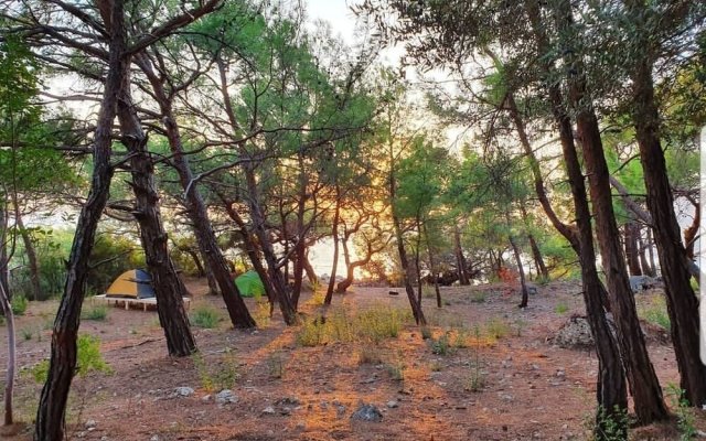 Karadere Park Orman Camping