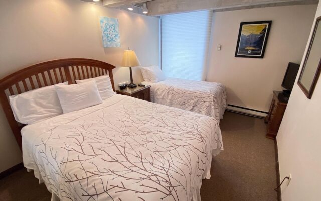 #102 Vail International