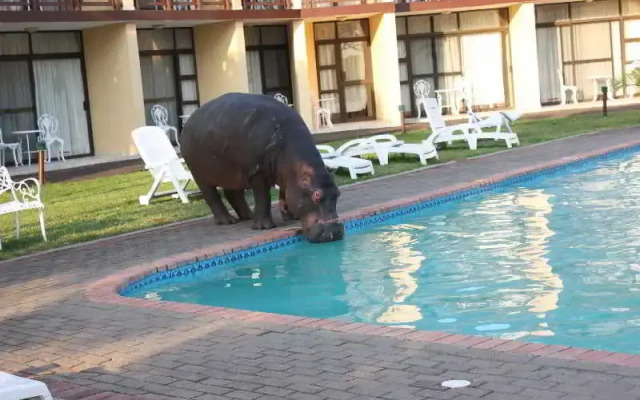 Lake St Lucia Lodge