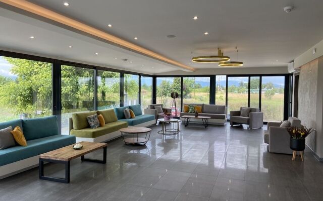 Olympus Diamond Studios