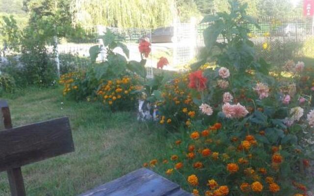 Pensiunea Nopti de Vara