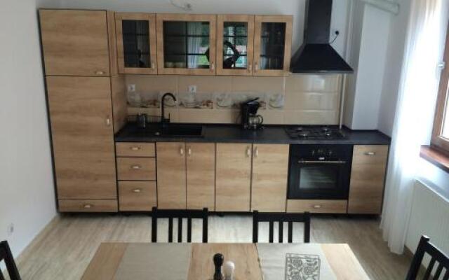 Apartament Holiday Busteni