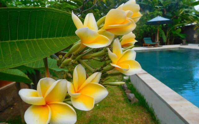 TEGAL SARI, Pemuteran- North Bali
