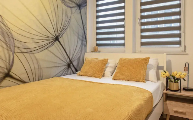 3D KOSCIUSZKI 19 Apartament