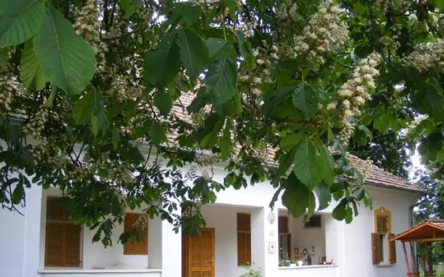 Kiskastély Vendégház