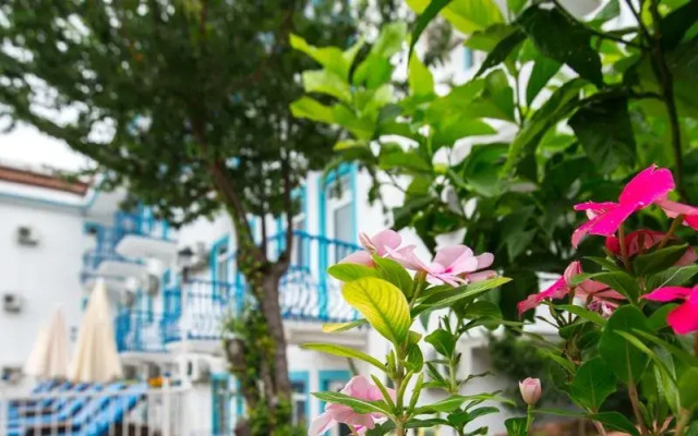 Mavi Yaprak Hotel