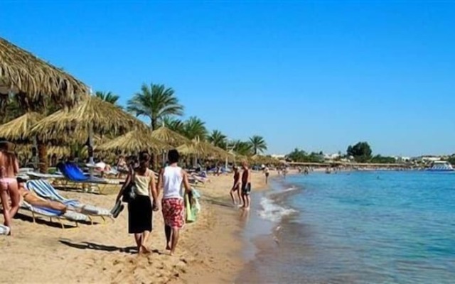 Holiday Service College & Diving