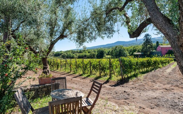 Terrazze dell'Etna - Rooms & Apartments