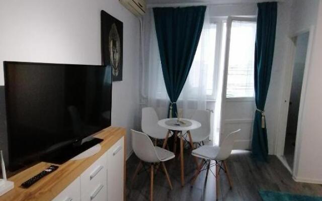 Bega Circumvalatiunii 1 Room Apartment