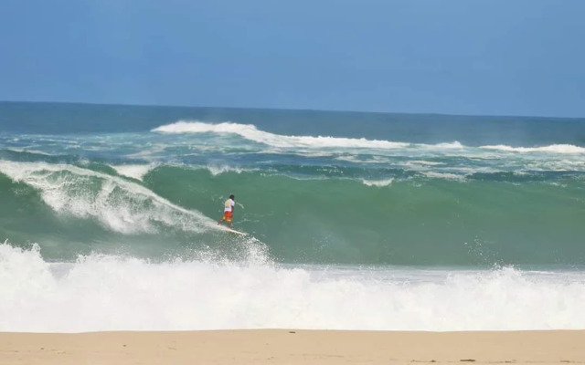 Longboard Paradise Suites