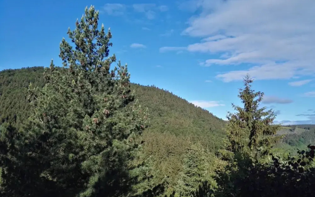 Ferienwohnung Waldblick Winterberg