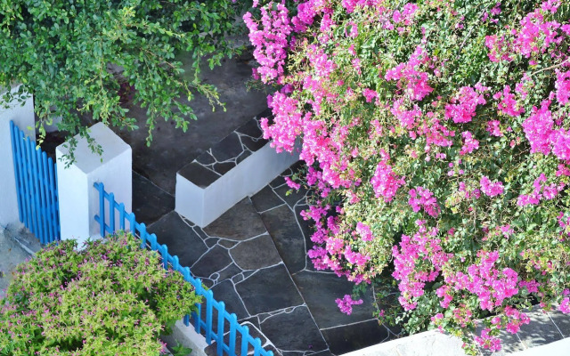 Purple Flower Villa