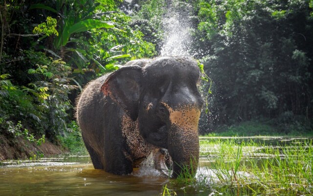 Grand Ocean View 5BR Pool Villa Kalim 5