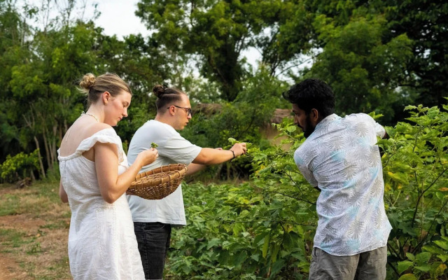 River Paradise Safari House with Cooking Class