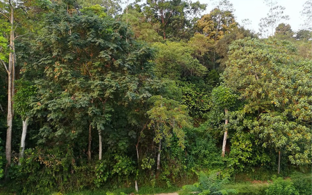 Thilini Hotel Apartment