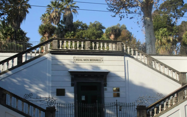 Nell'Antico Palazzo Salsa