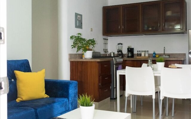 Apartment in Santiago