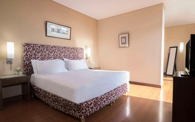 NH Mendoza Cordillera