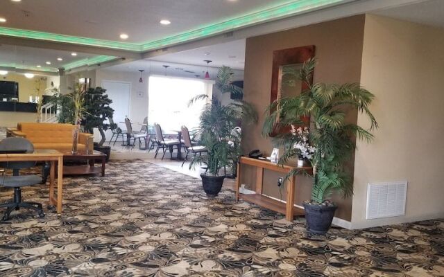 Homestyle Inn & Suites