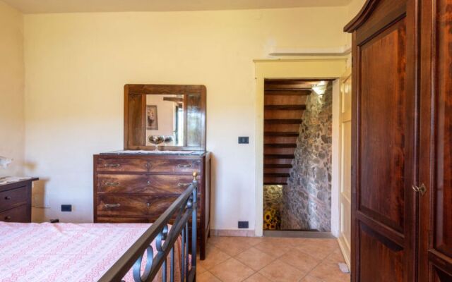 House Vittorio Scansano