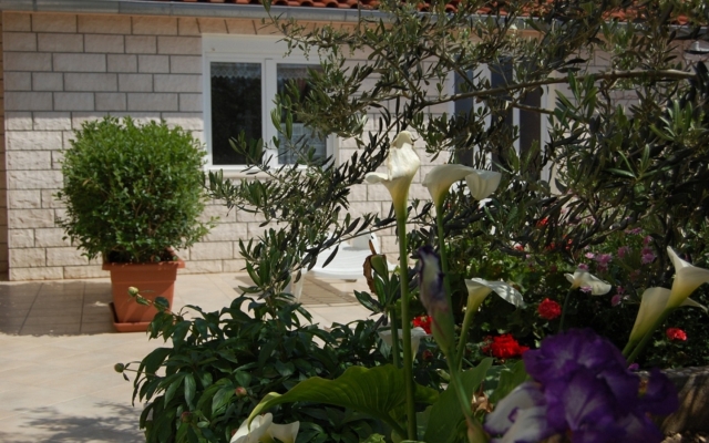 Studio apartment Marti - free parking and grill: SA2 - Studio Hvar, Island Hvar