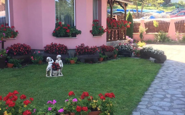 Pensiunea Contesa 3*