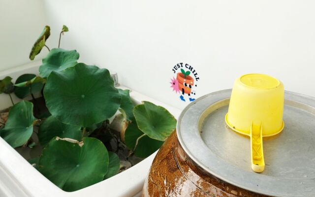 Duck Homestay BenTre