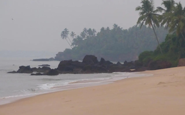 Ocean Green Kerala