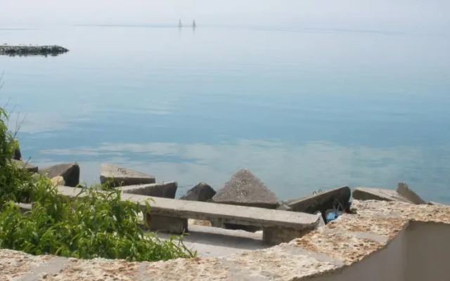 Hotel Los Dos Gallos (Dvata Petela)