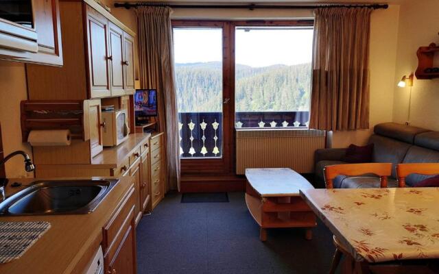 Appartement Notre-Dame-de-Bellecombe, 1 pièce, 6 personnes - FR-1-595-5