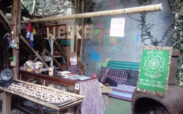 Beta Life Eco Proyecto Hostel