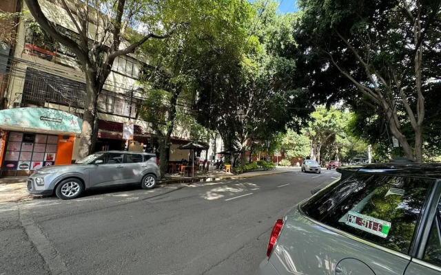 Apartment Near Reforma Agel