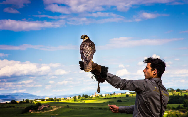 Villa Loggio Winery and Boutique Hotel