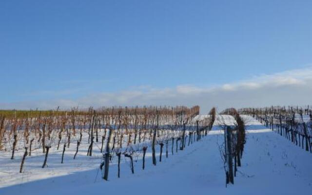 Bauernhof Wein-Bett Wiedeck