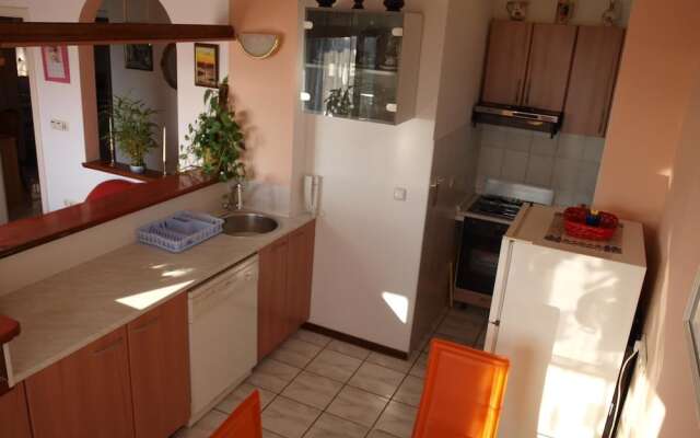 Apartments Grof