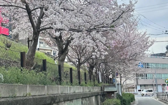 Tabi Time Kishinosato Miyama