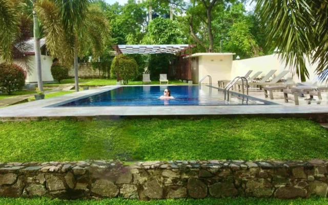 Jungle Paradise