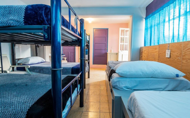 Petit Hostel