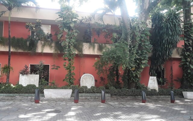 Maya Tulipanes Express