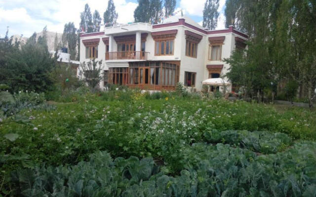 Niri-la Ladakh Guest House Leh
