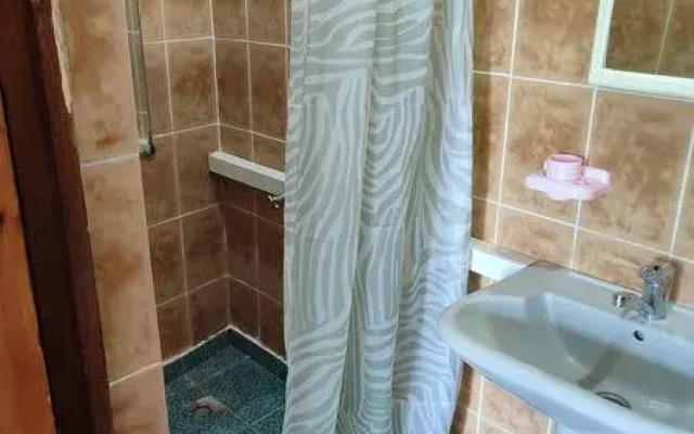 Pod palmoj