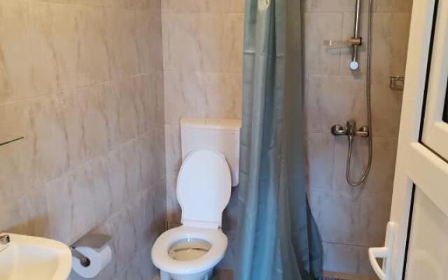 Pensiunea Blue House