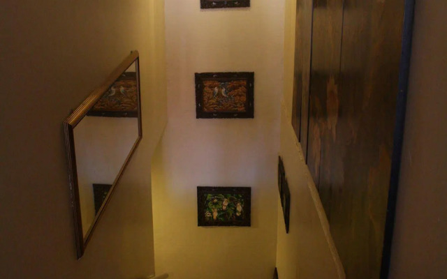 Sensi Backpackers Hostel