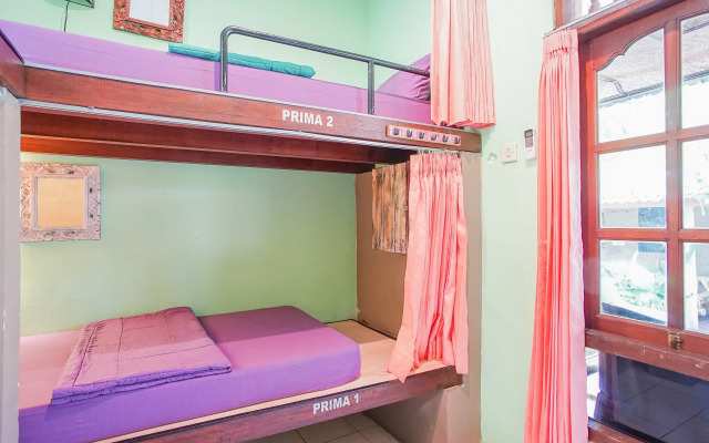 Padi-Padi Hostel & Bar