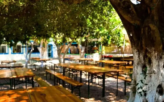 Social Camping JAL