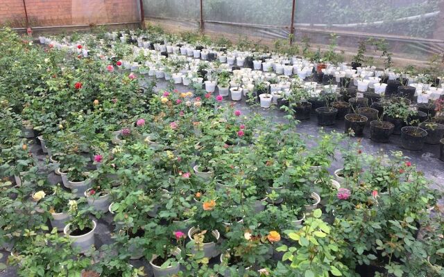Dalat Chocolate Homestay