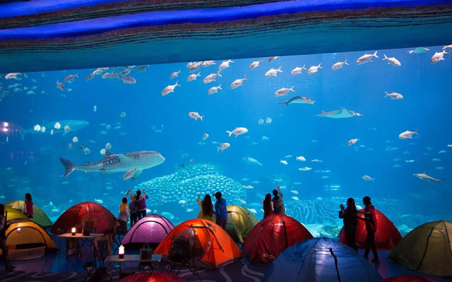 Chimelong Hengqin Bay Hotel