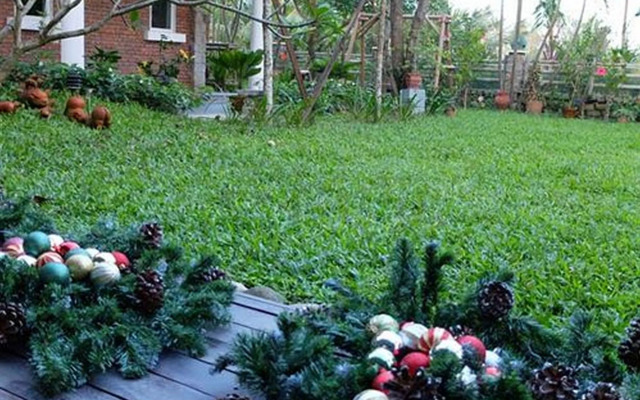 Rock Villa Hoi An