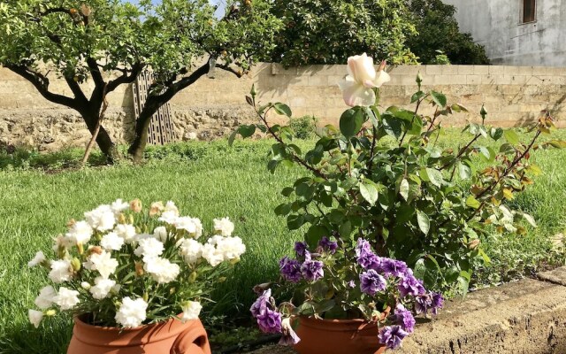 B&B Corte Mercurio