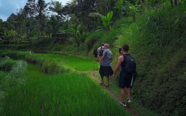 Tetebatu Valley Bungalows